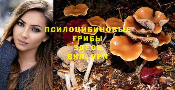 альфа пвп Горнозаводск