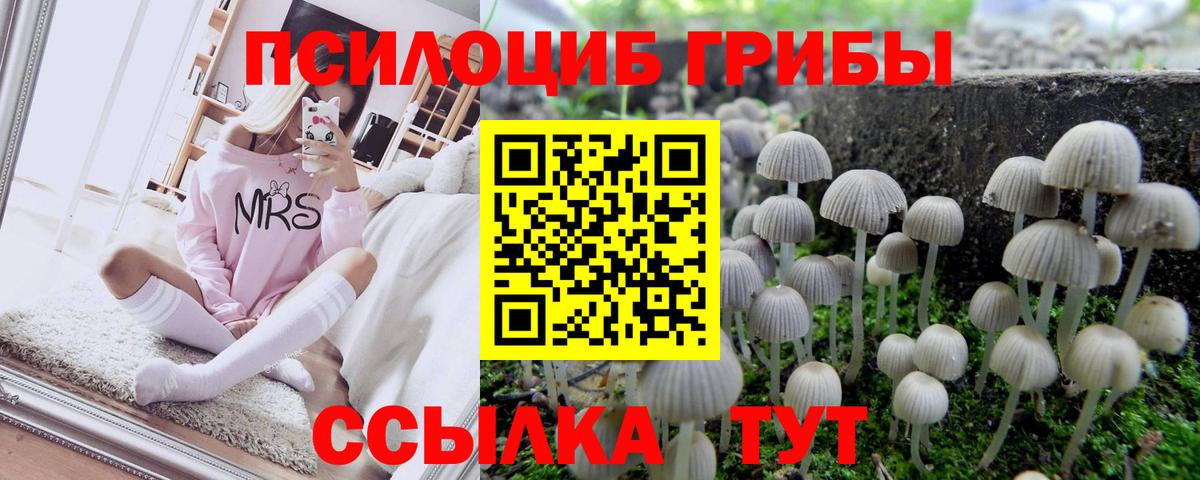 Псилоцибиновые грибы мухоморы  Еманжелинск 