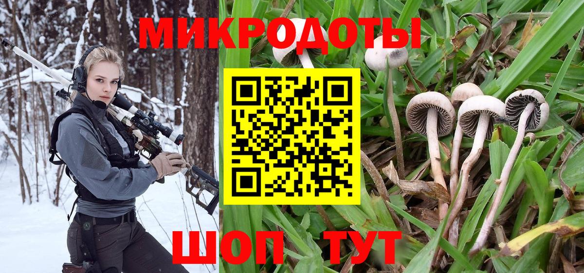 Галлюциногенные грибы прущие грибы Еманжелинск